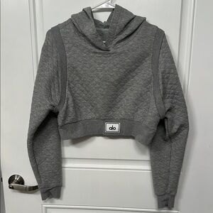 ALO Yoga Gray Cropped Boxy Hoodie
